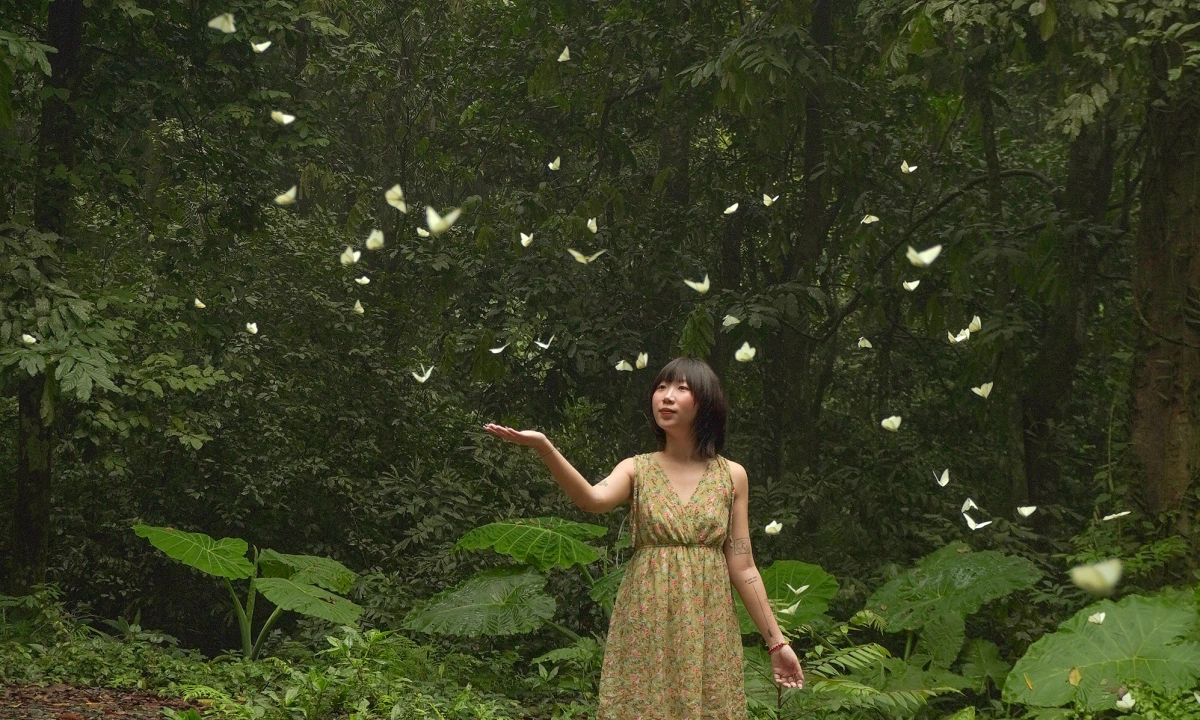 닌빈 꾹프엉 국립공원 '나비 떼' 장관... 예년보다 3주 빨리 찾아온 '봄의 전령'
