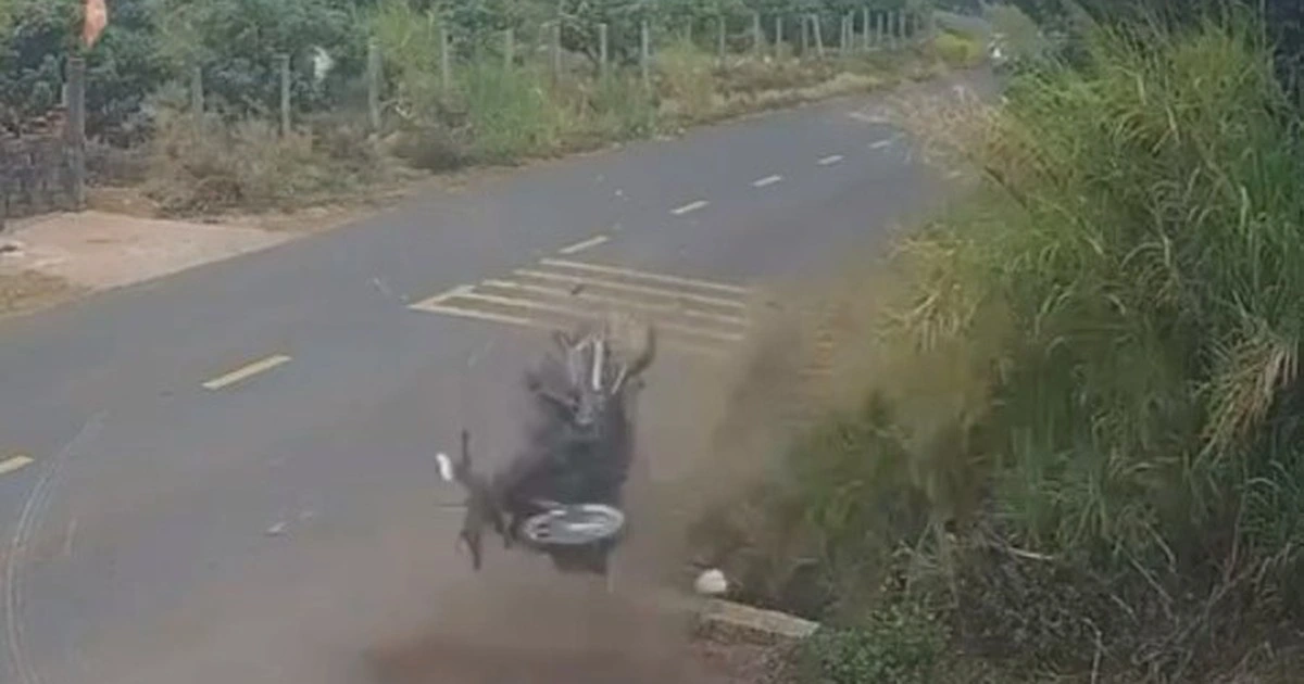 닥락성 12학년 고등학생 사망 사건… 관련 교통경찰관 ‘직무 정지’ 처분