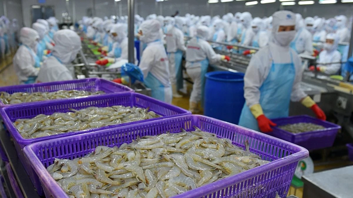 베트남 새우 대기업 사오타, 미국 관세 리스크에 이익 환입 포기…충당금 10.2% 유지