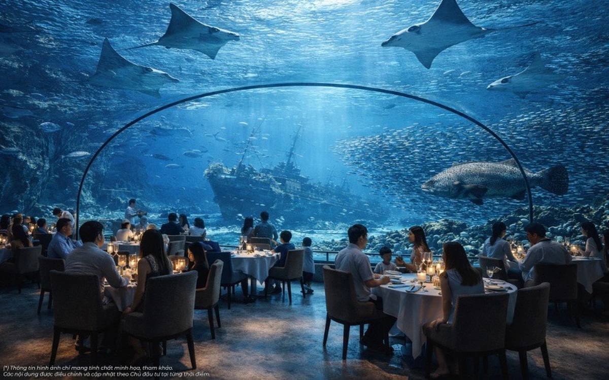 세계 최대 규모 아쿠아리움 하노이 인근 하롱에 들어선다… 축구장보다 넓은 4억 5천만 리터 수조