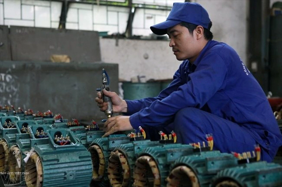 직원 6명이 2년새 이익 1조 원 육박... 하노이 변압기 제조사 '배당 잭팟' 화제