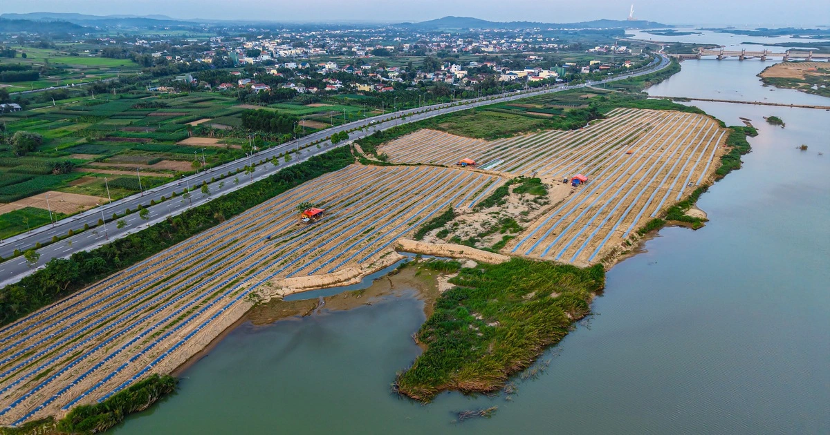 짜강(Trà Khúc) 강의 ‘유목민’: 비옥한 부조물에 삶을 일구는 농민들