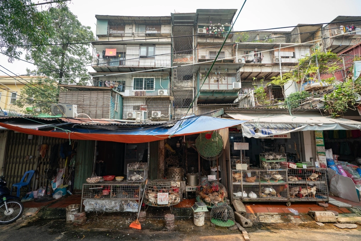 푸미흥, 하노이 '탄쑤언 박' 노후 단지 재건축 제안… 40년 된 '위험한 주거지' 탈바꿈할까
