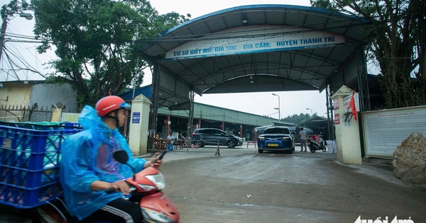 하노이 '병든 돼지 300톤' 진원지 도축장 폐쇄... 방역 당국 전수 조사 착수