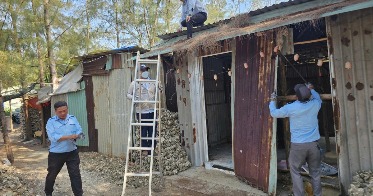 호찌민시, 5.3헥타르 국유지 무단 점유·불법 건축물 강제 철거 착수