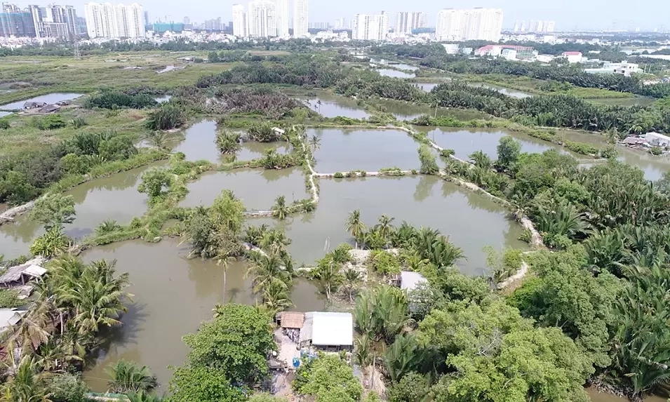 호찌민시, '부적격' 33개 구역 주택 시범사업서 제외... 490ha 규모