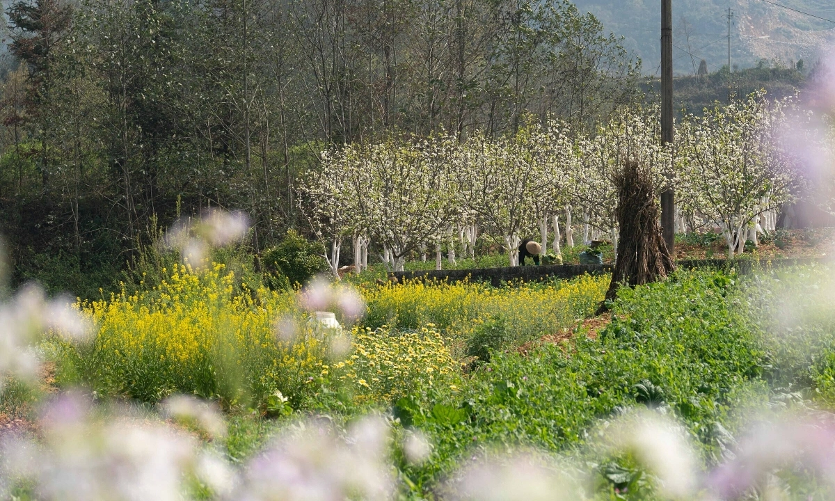 휴가철 다가오는데... 수도권 근교 '로드 투어' 4선 인기