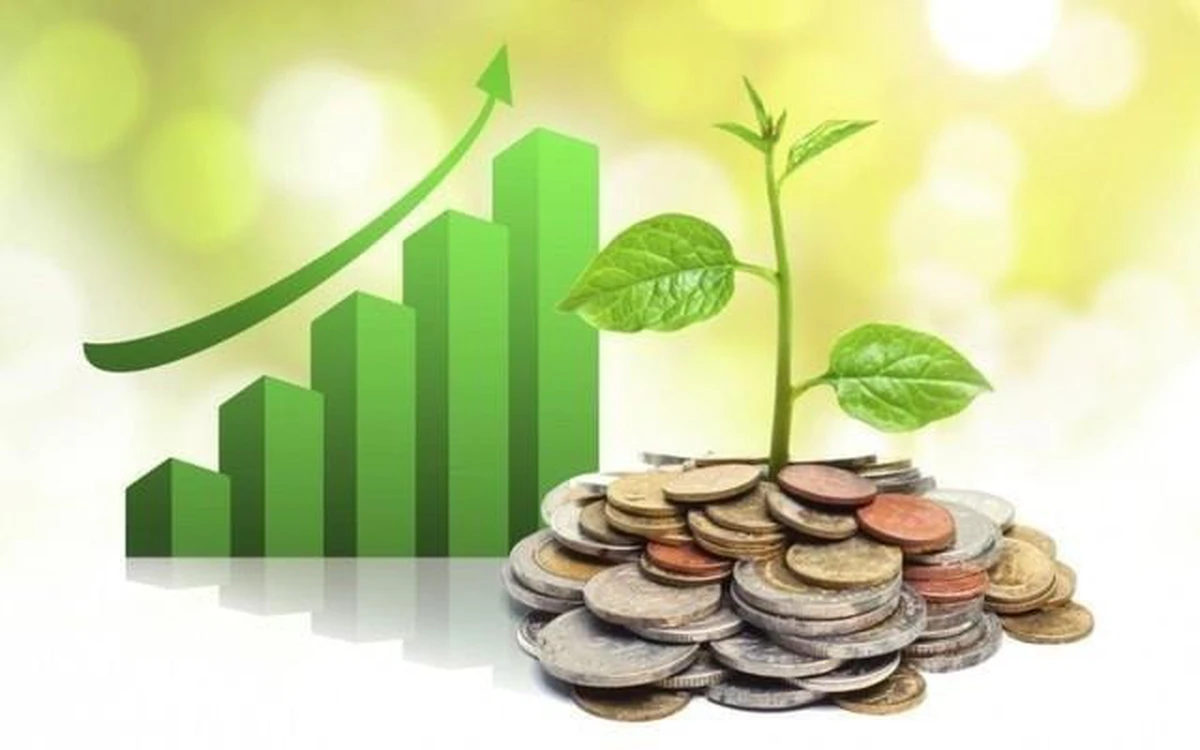 5월 마지막 주 배당 기준일 일정: Hoà Phát·FPT 동시 확정, 현금 배당 최고 30%