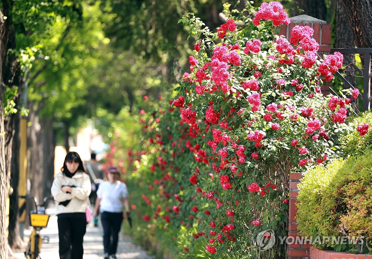 한국 주말 낮 최고 33도 초여름 날씨…내륙 큰 일교차 주의