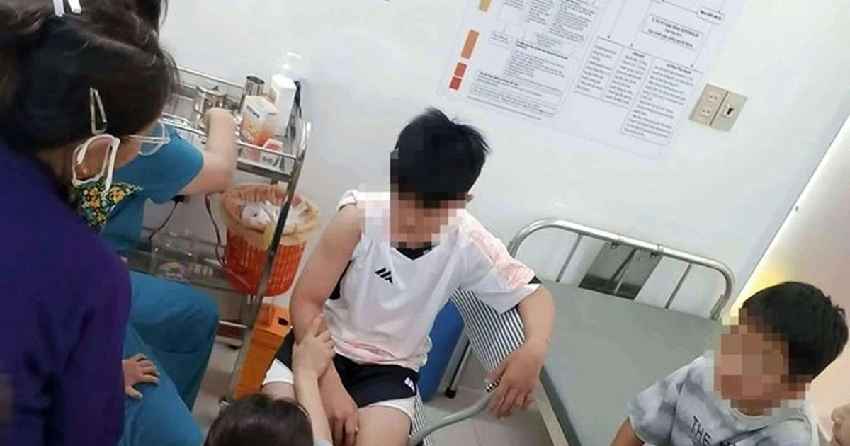 응에안서 광견병 의심 들개, 주민 6명 무차별 습격…학생·노인 등 부상