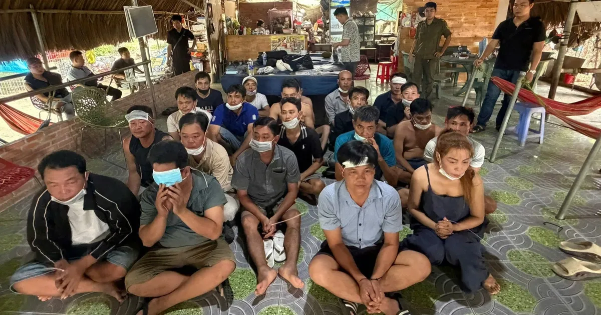 호찌민시 경찰, 온라인 닭싸움 도박 소굴 적발…권총 2정 압수