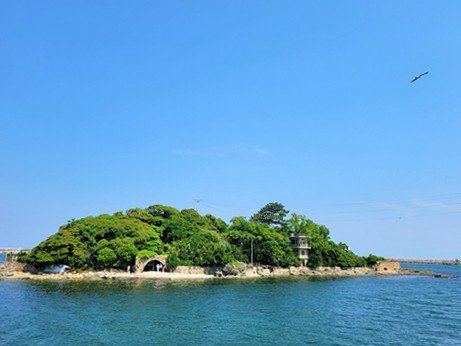부산 기장군 죽도 매입 논란…군수·국민의힘 군의원 갈등