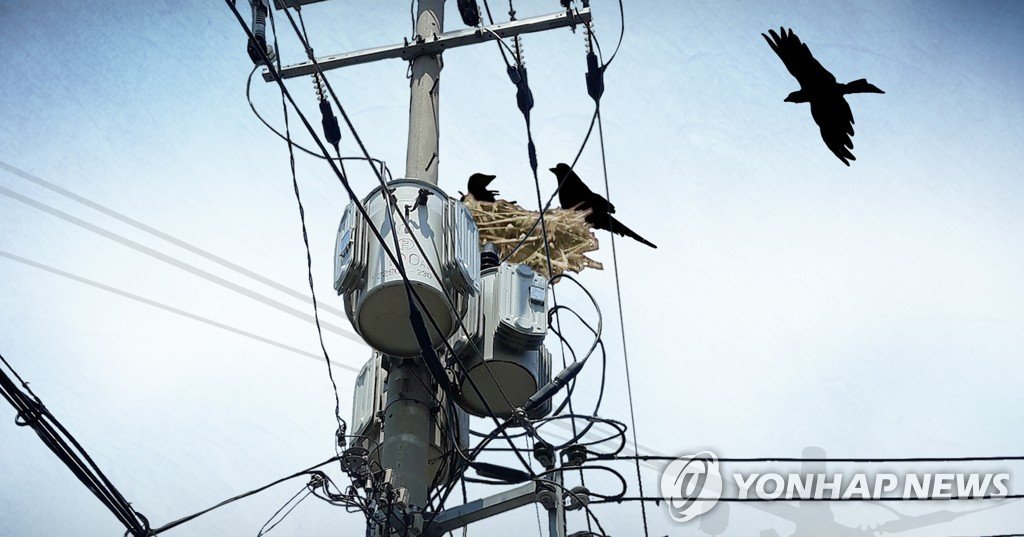 부산 북구 986가구 폭염 속 정전…3시간여 만에 복구