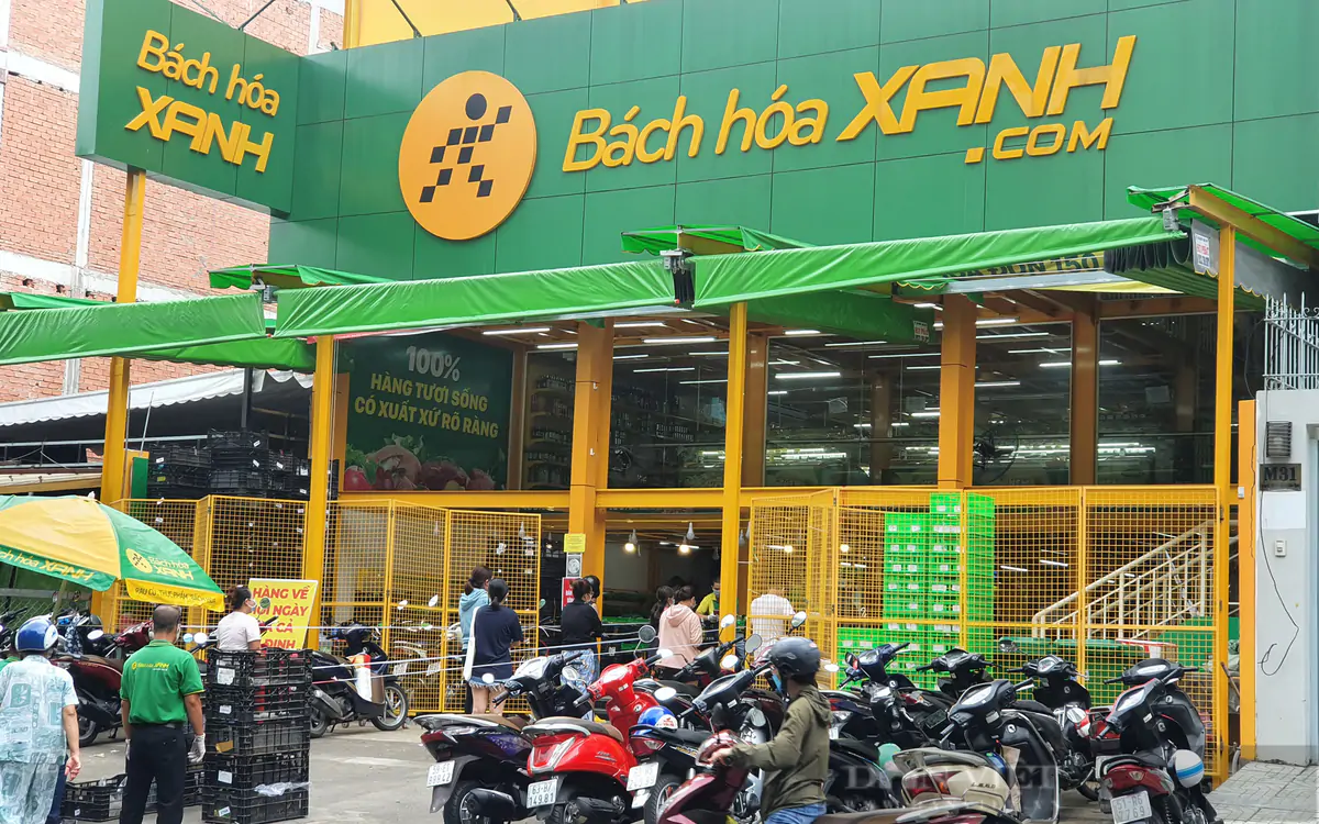 베트남주식 MWG 자회사 Bách Hóa Xanh, 연내 1,000개 이상 출점 전망