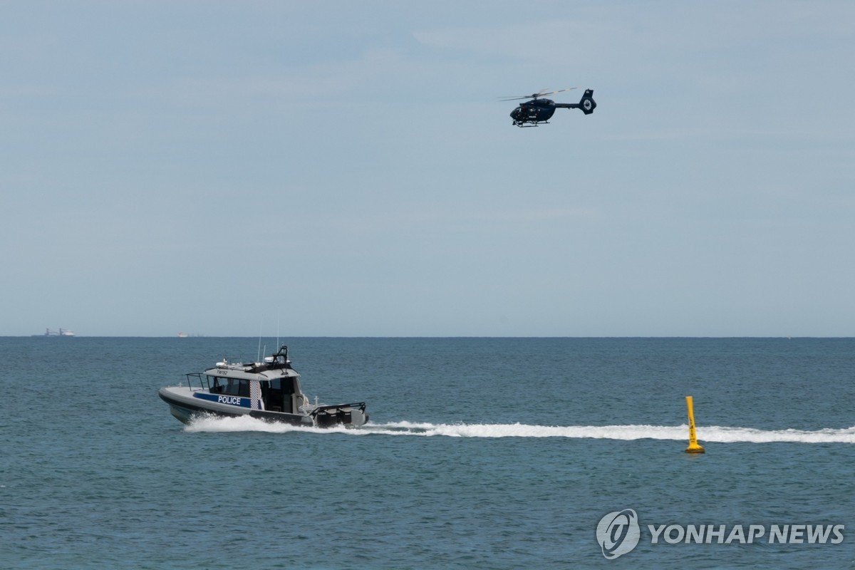 호주 상어 공격 사망 잇따라…당국, 해당 상어 사살 명령