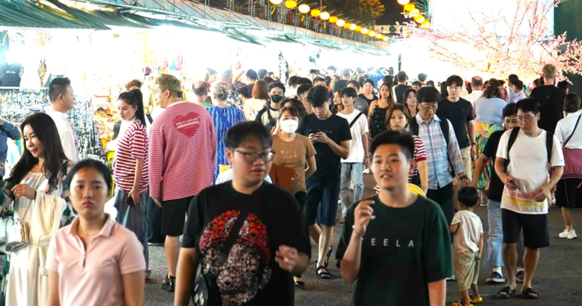 나짱, 야간 해변·해양 스포츠 결합 '야간 경제' 활성화 추진… 7대 핵심 모델 발표