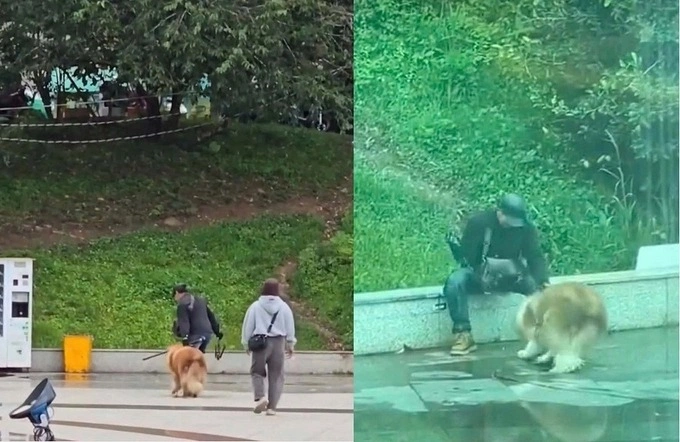 달랏 광장서 대형견 몽둥이 학대한 남성 벌금형… 