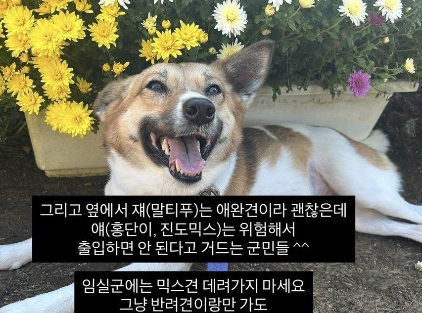 반려견 친화 관광지서