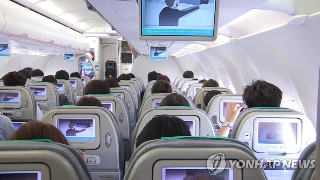일본 저가항공 기내서 뱀 발견…결항 사태