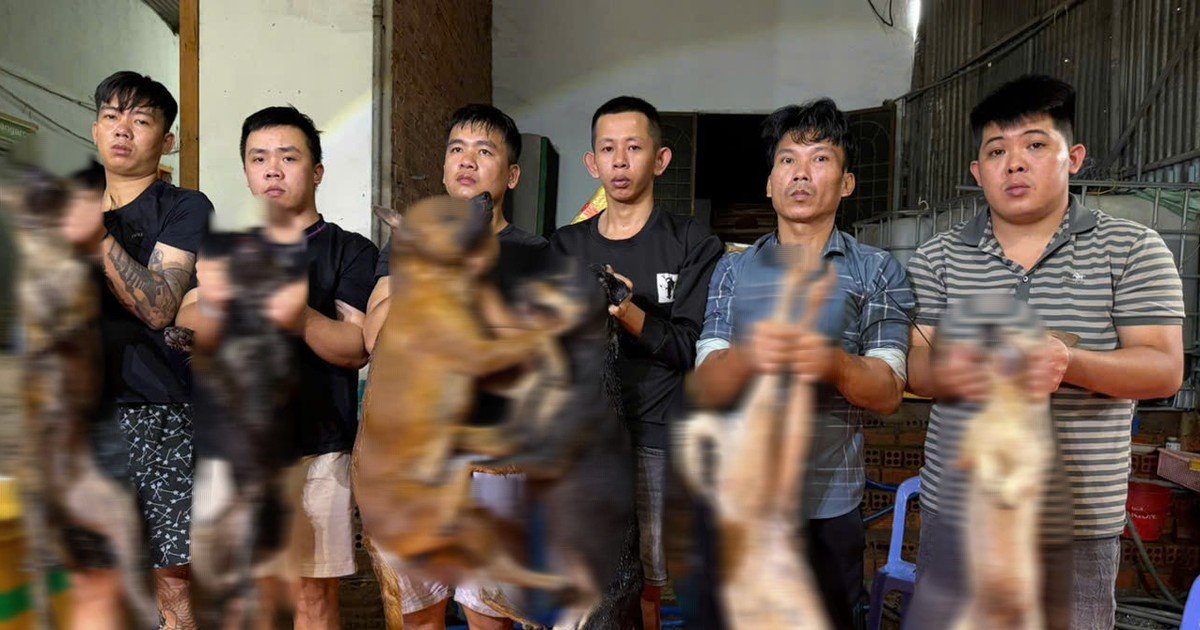 호찌민 경찰, 반려동물 절도 조직 대대적 단속… 33명 형사 입건
